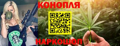соль ск Будённовск