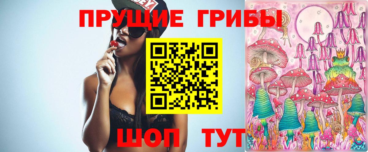 Галлюциногенные грибы ЛСД Владимир
