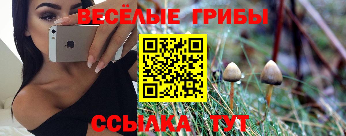 Владимир  Псилоцибиновые грибы Magic Shrooms  Вход с VPN 